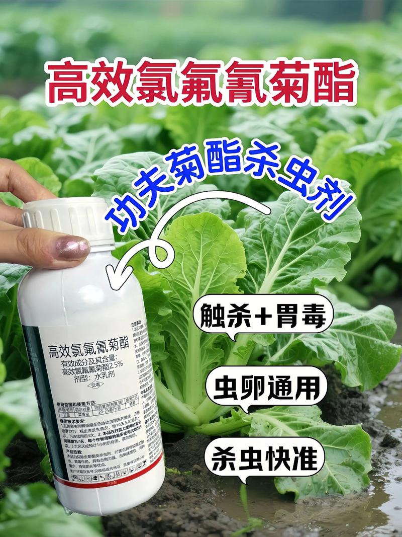 丰都代生中心:农药对供卵代生妈妈的危害